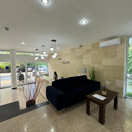 Callatis Hotel 2*