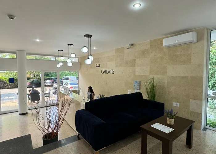 Callatis Hotel 2*